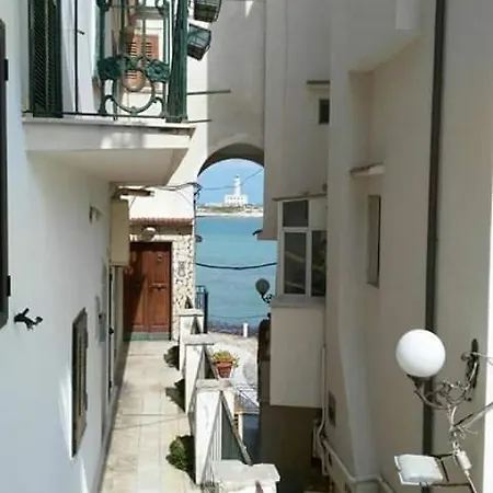 Mirabilis Сasa de vacaciones